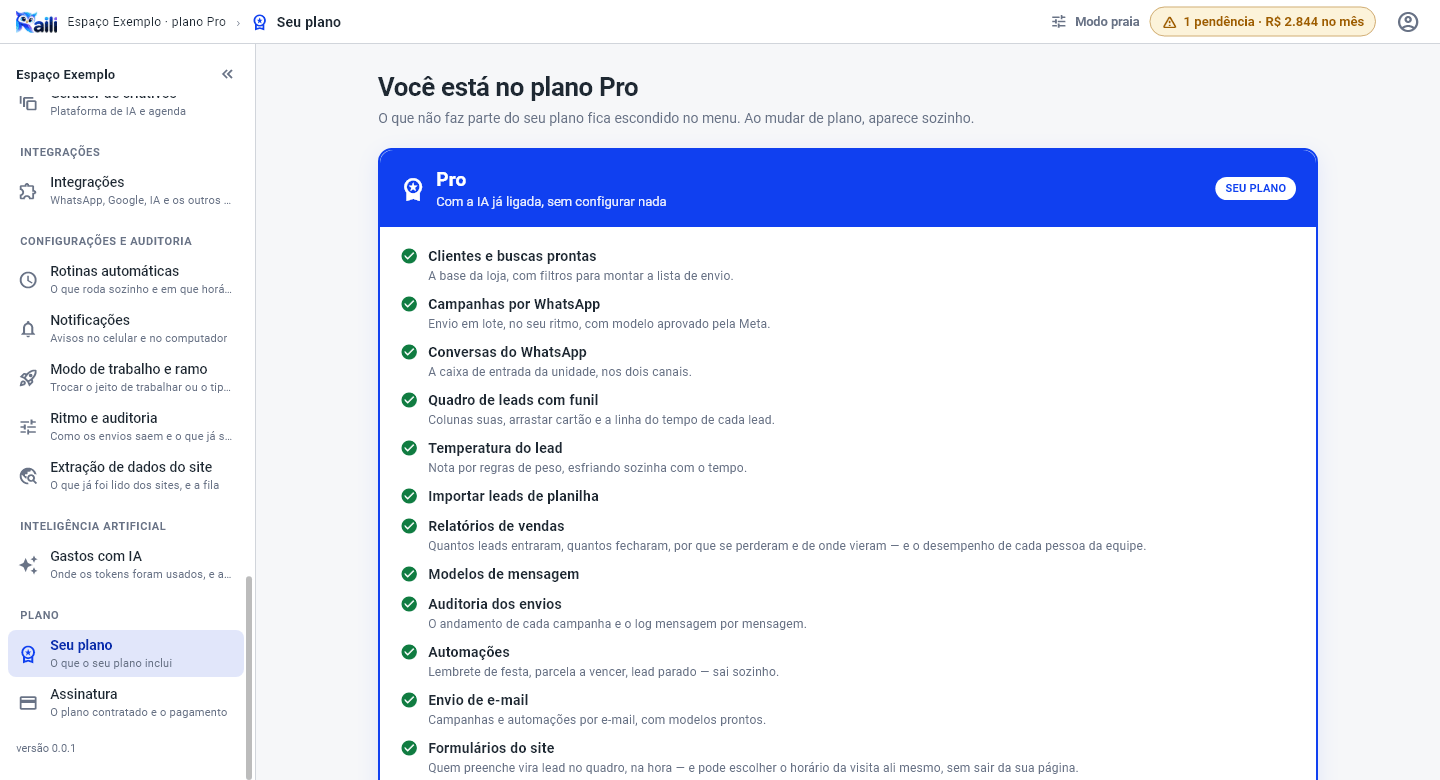 Tela Seu plano com o título Você está no plano Pro, os planos Básico e Pro lado a lado e o selo SEU PLANO no Pro